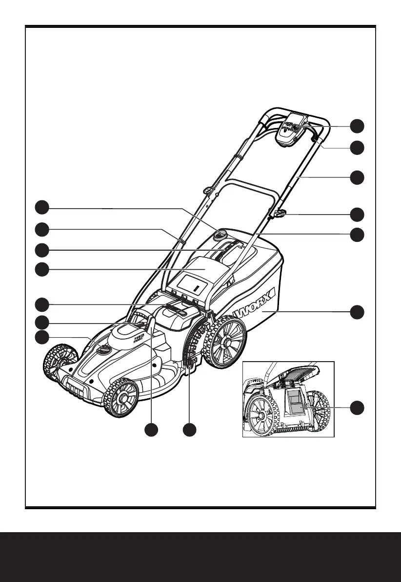 Page #3 background image