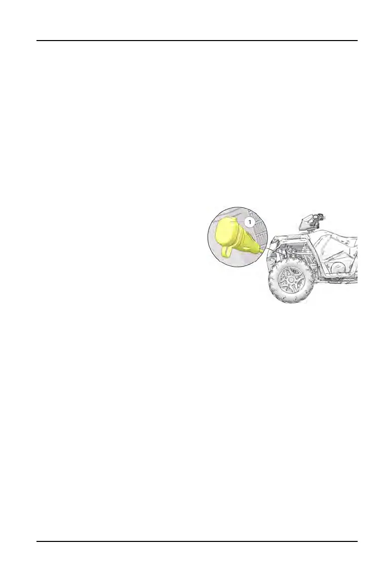 Page #61 background image