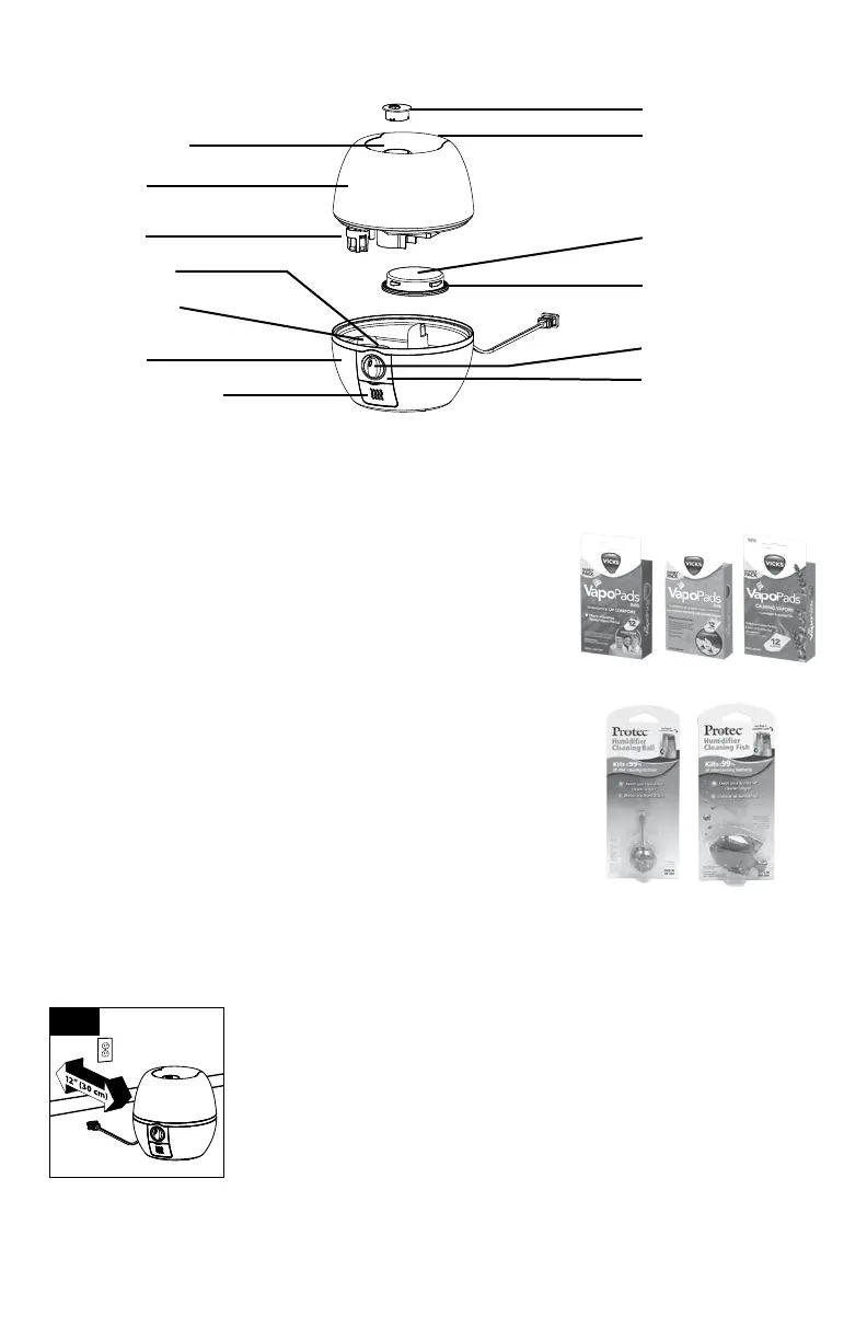 Page #4 background image