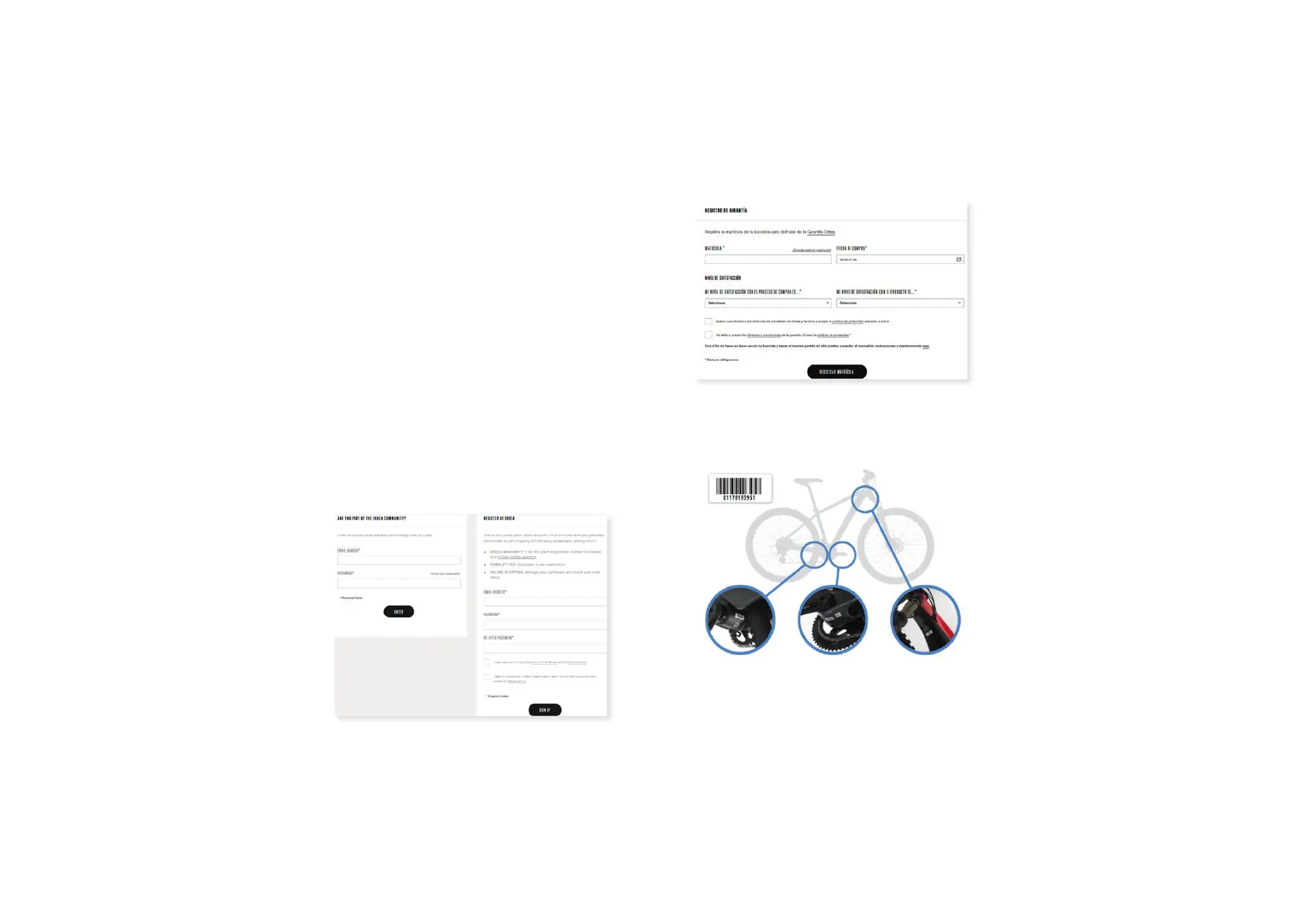 Page #4 background image
