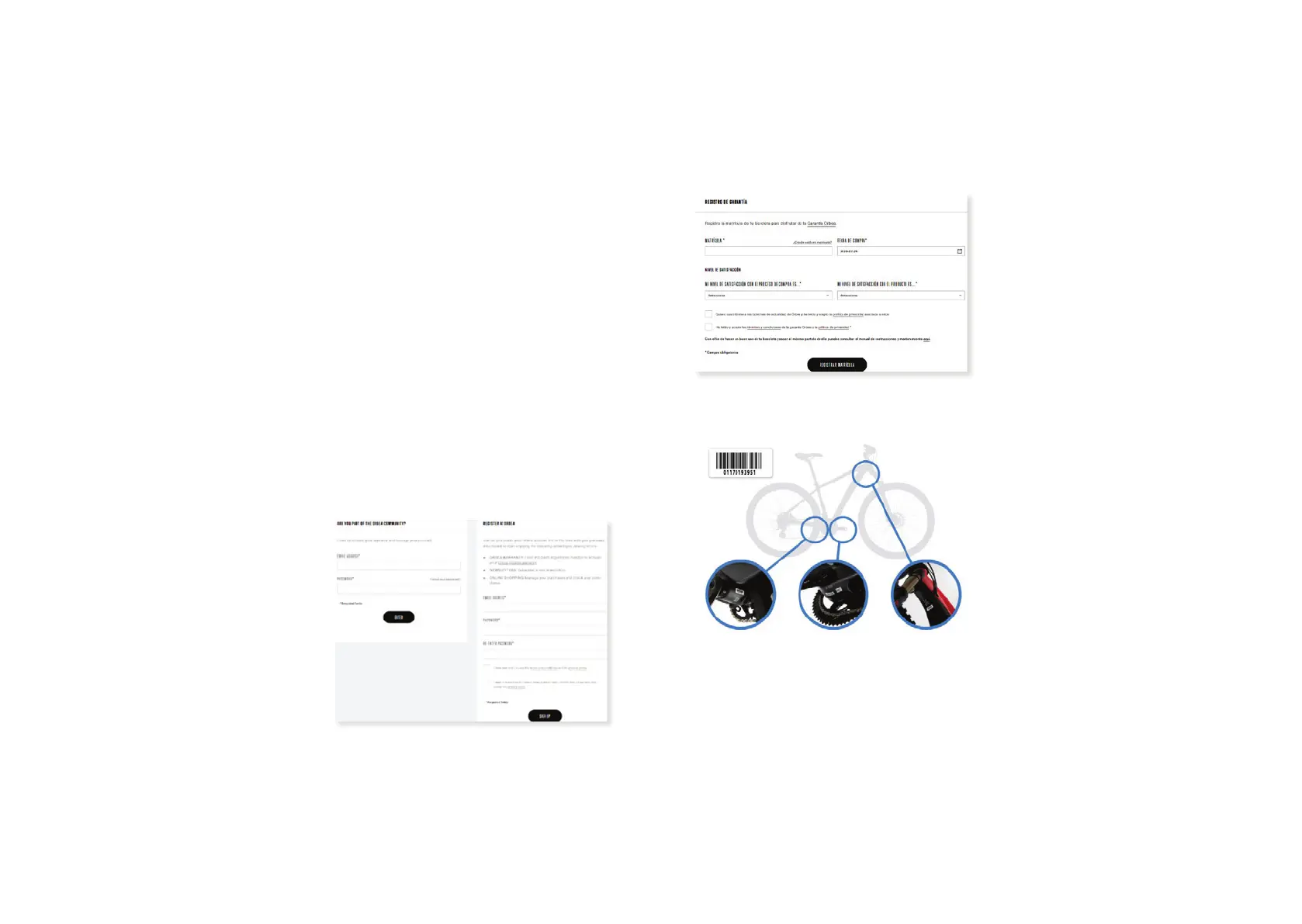 Page #4 background image