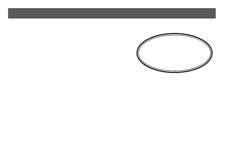 Page #232 background image