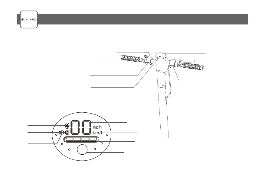 Page #37 background image