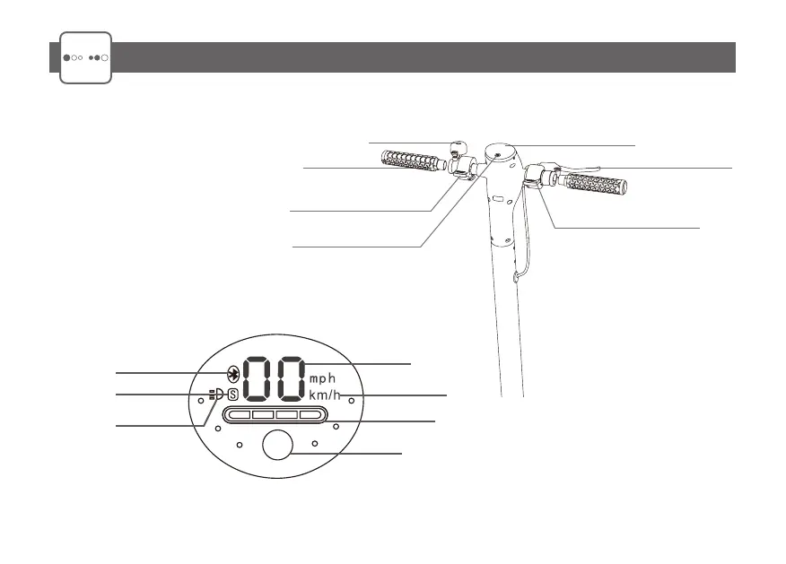 Page #51 background image