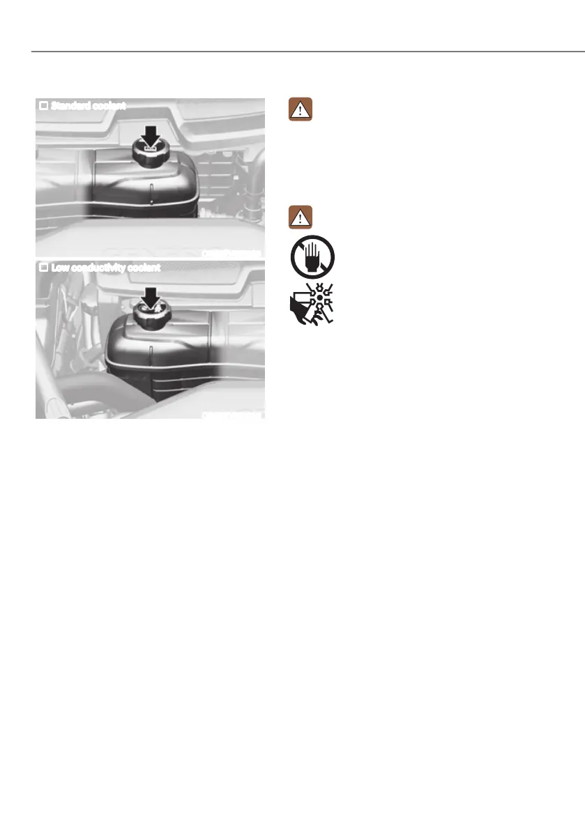 Page #610 background image