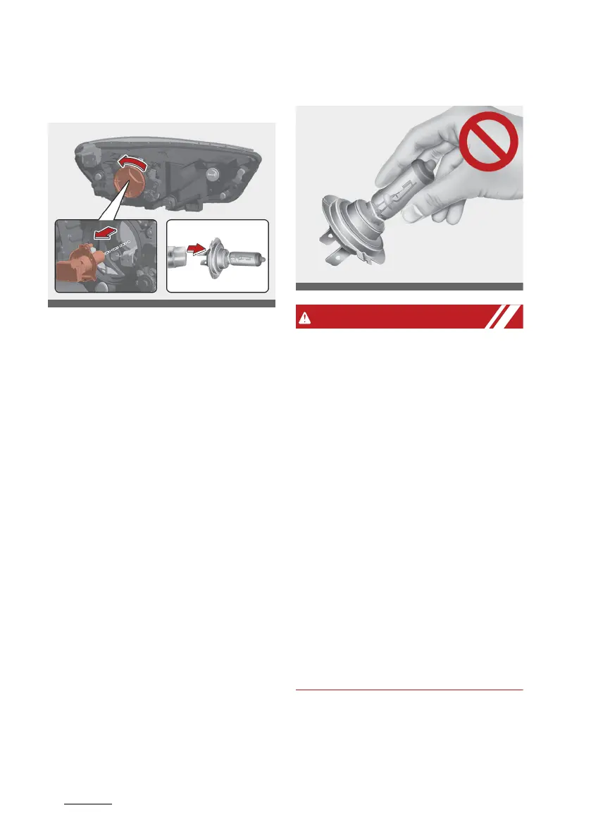 Page #629 background image