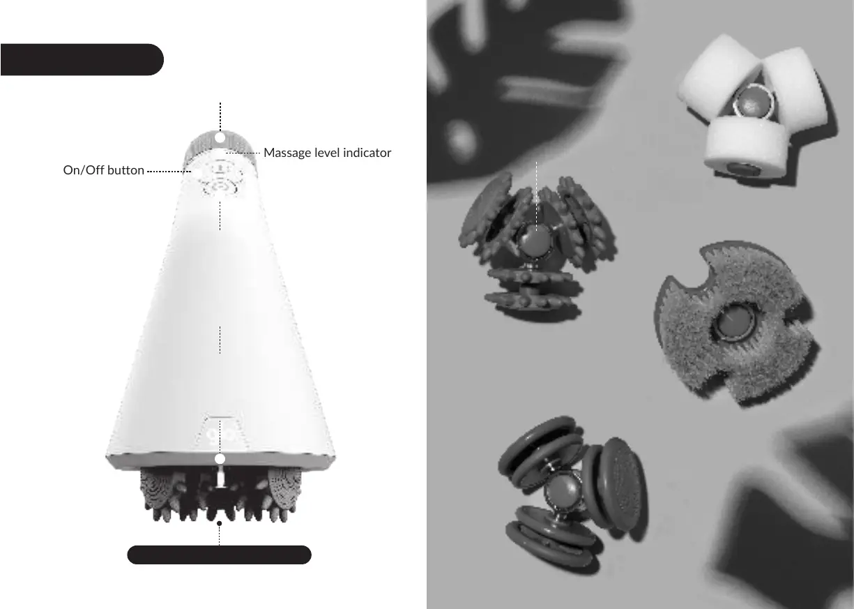Page #4 background image