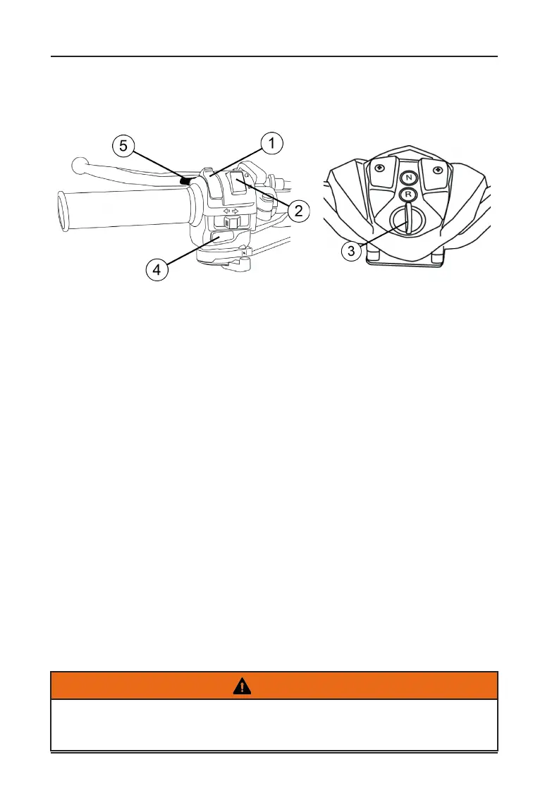 Page #29 background image