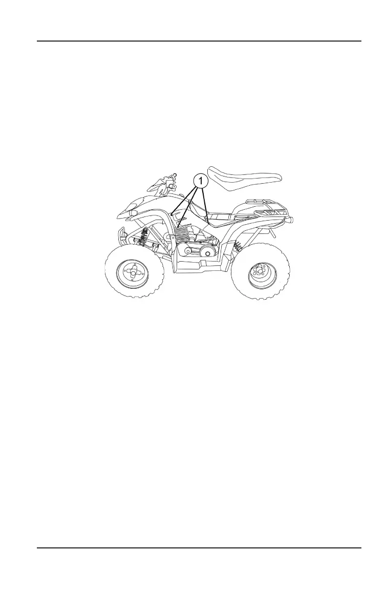 Page #65 background image
