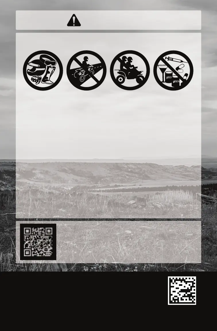 Page #115 background image