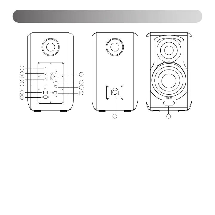 Page #25 background image