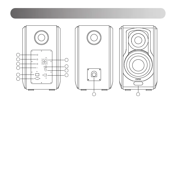 Page #65 background image