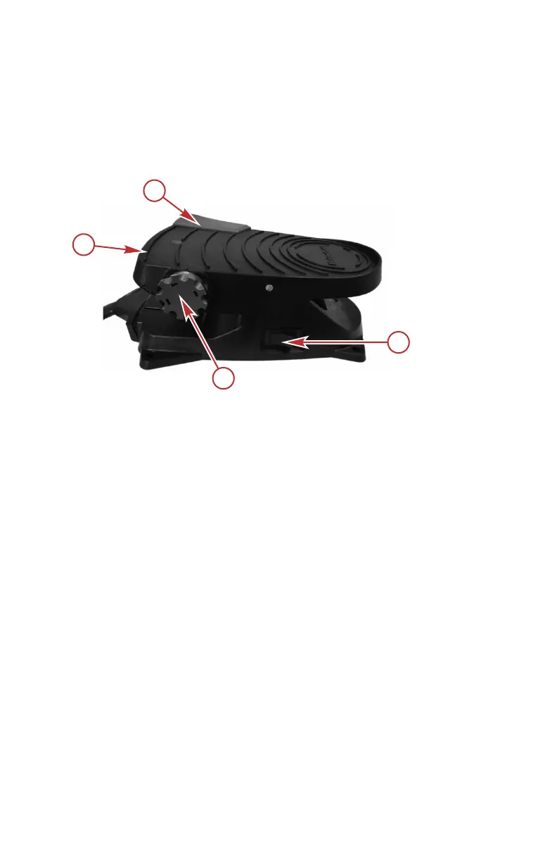 Page #33 background image