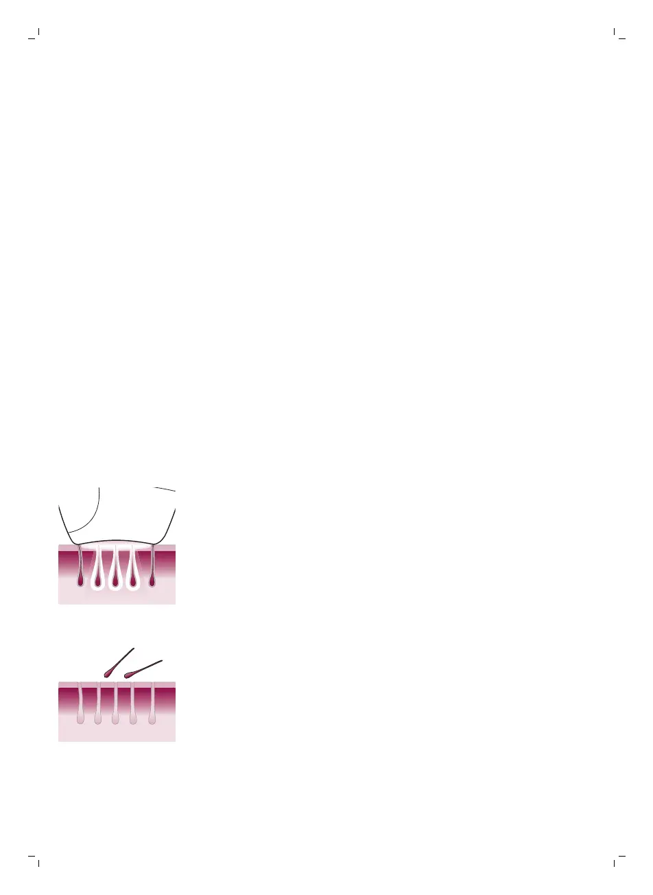 Page #53 background image