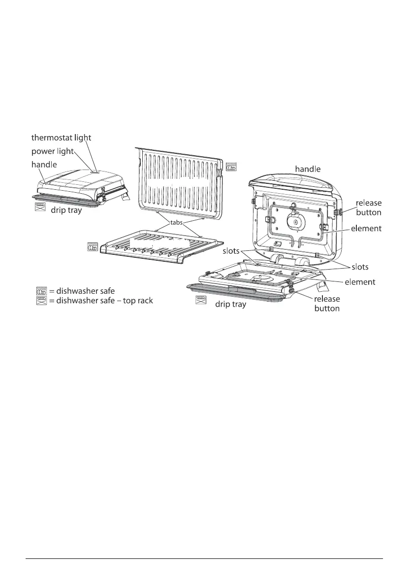 Page #4 background image