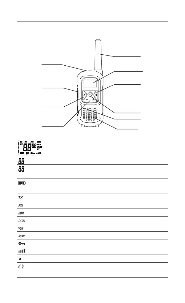 Page #13 background image