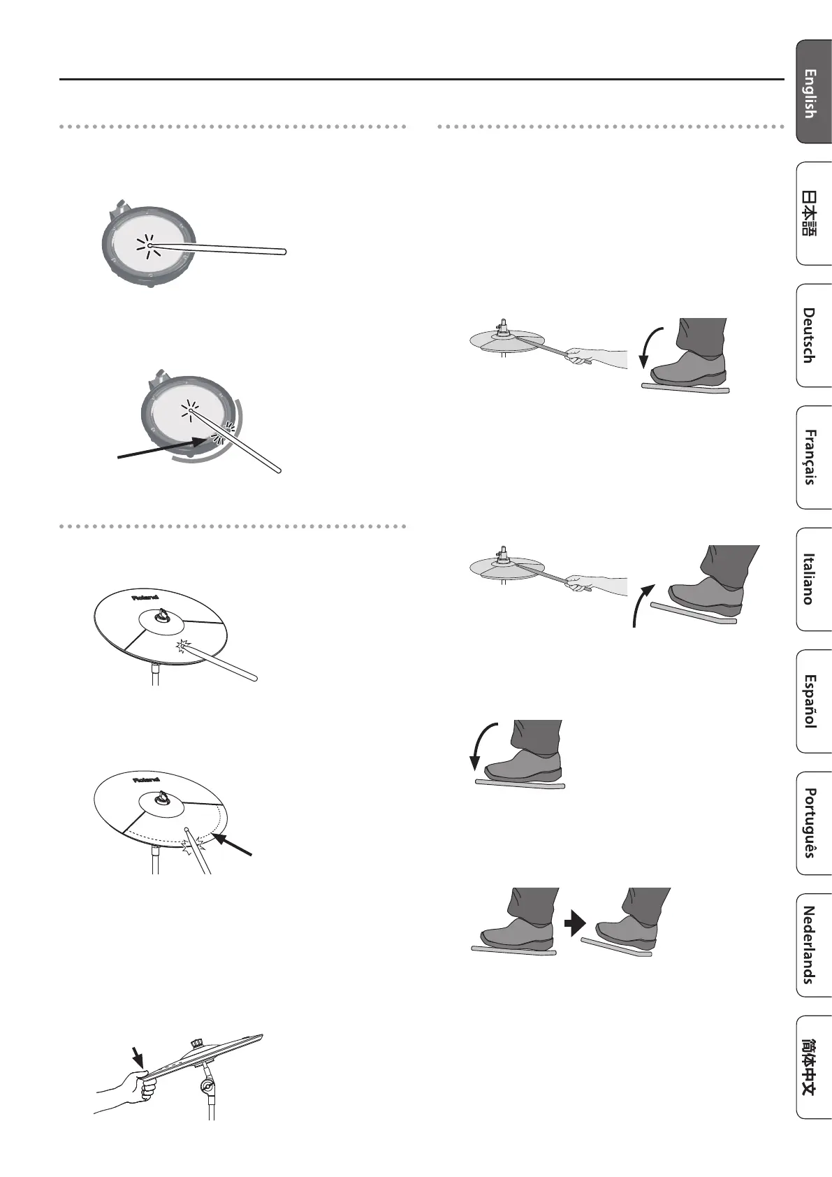 Page #3 background image