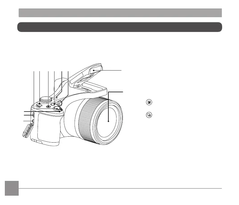 Page #17 background image