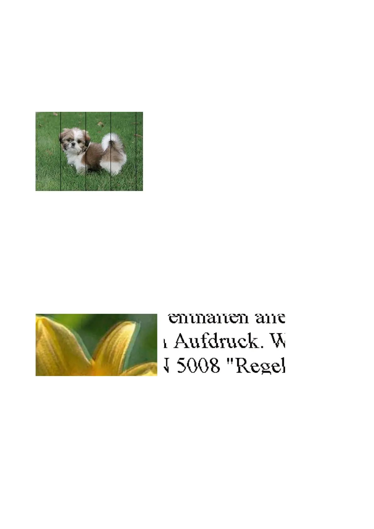 Page #123 background image