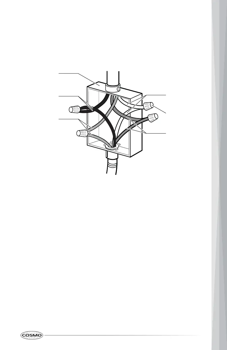Page #21 background image