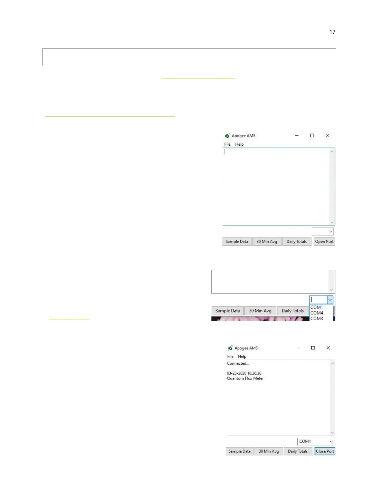 Page #17 background image