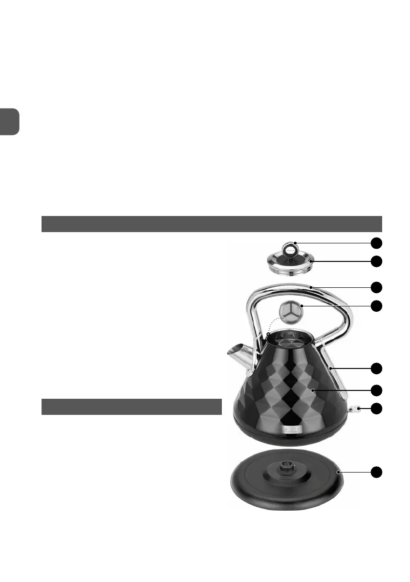 Page #4 background image