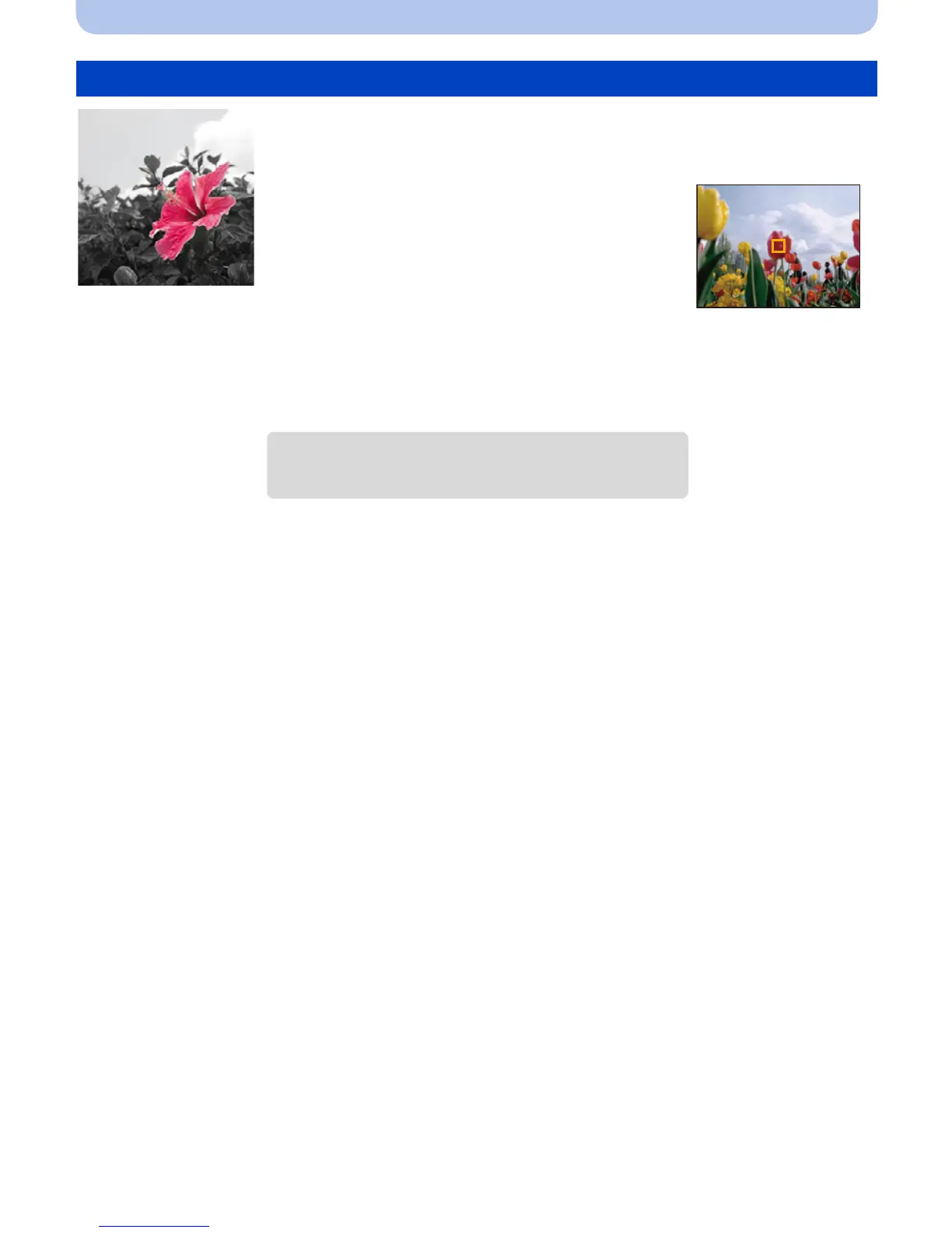 Page #58 background image