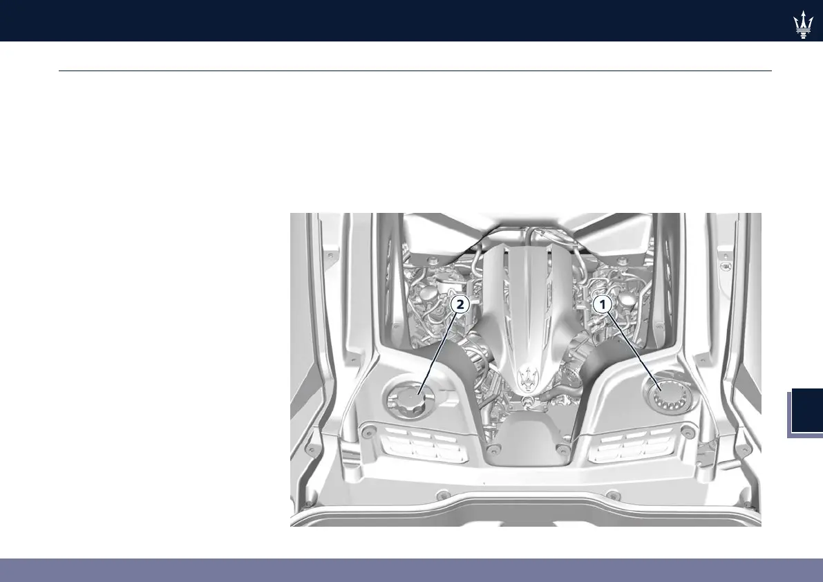 Page #243 background image