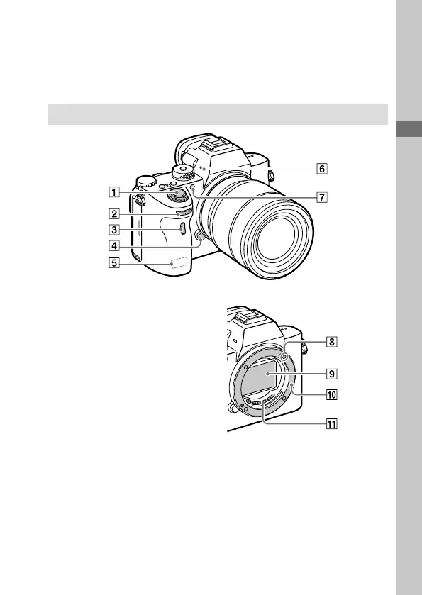 Page #11 background image
