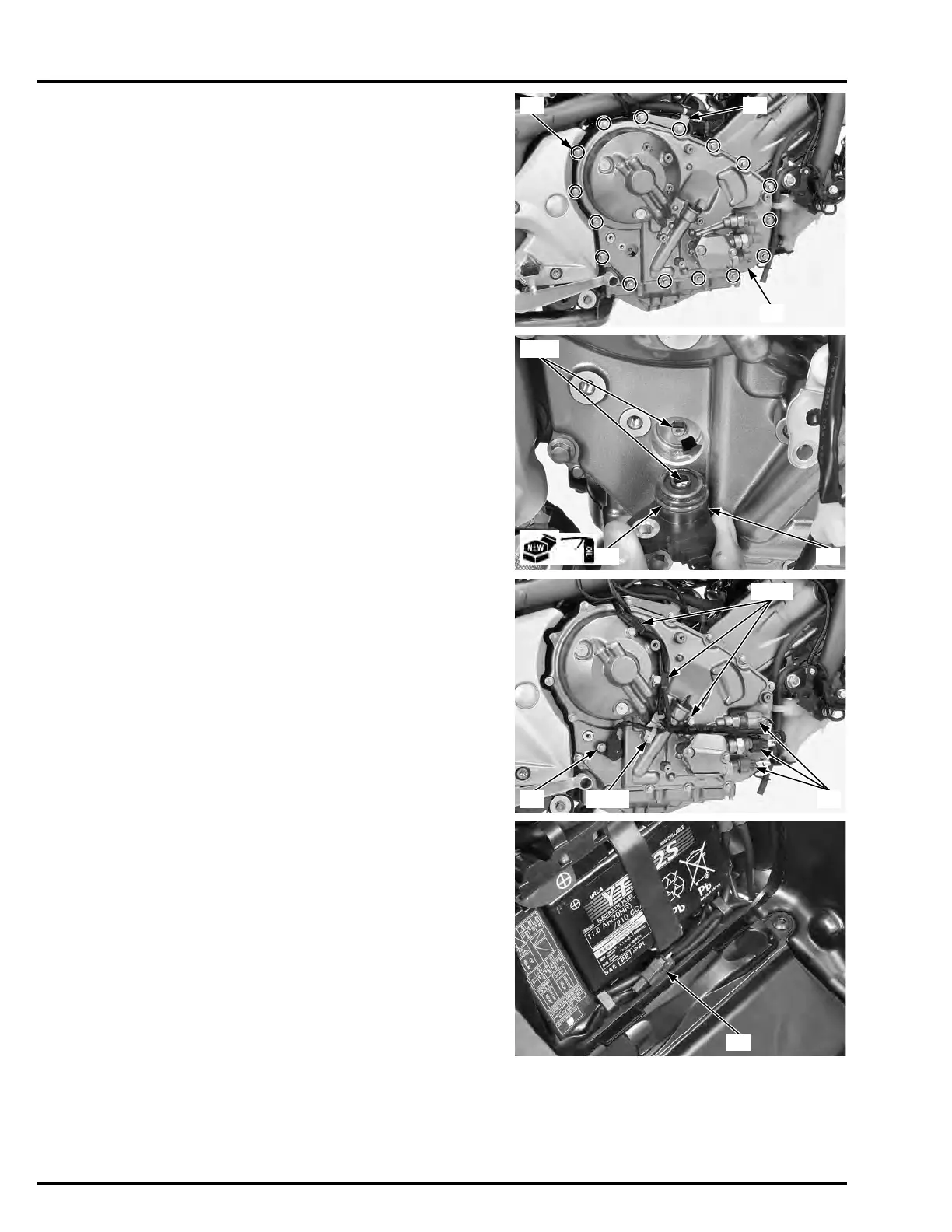Page #459 background image