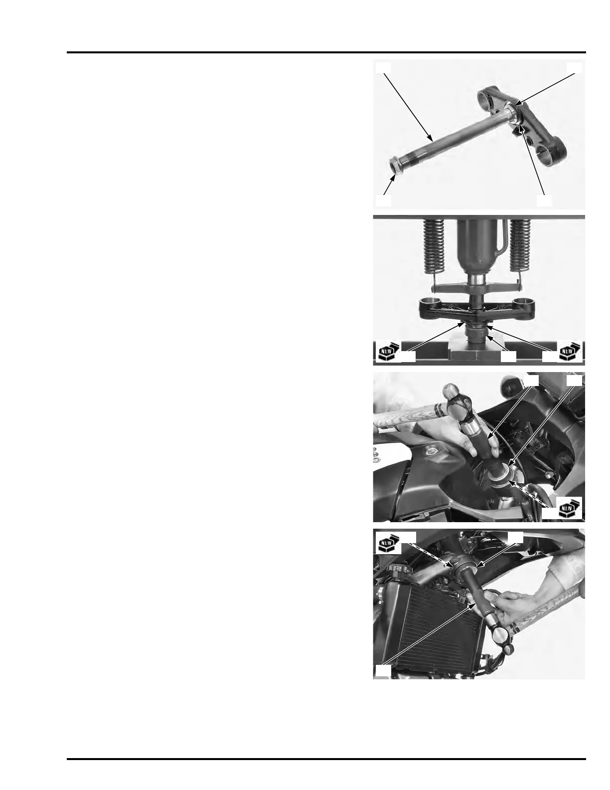 Page #608 background image