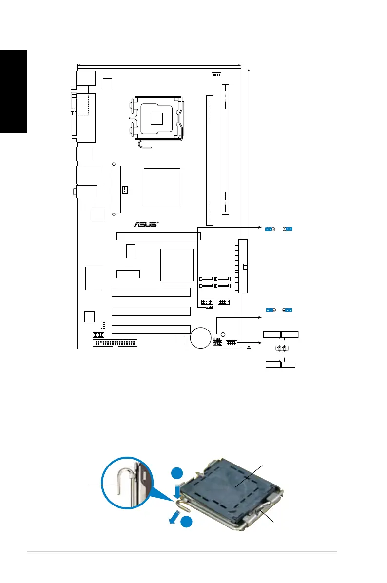 Page #2 background image