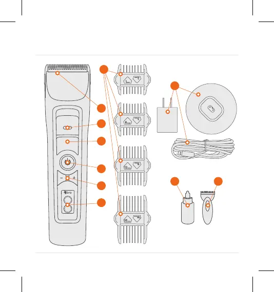 Page #8 background image