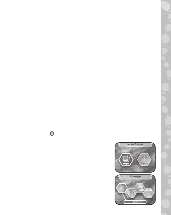 Page #9 background image