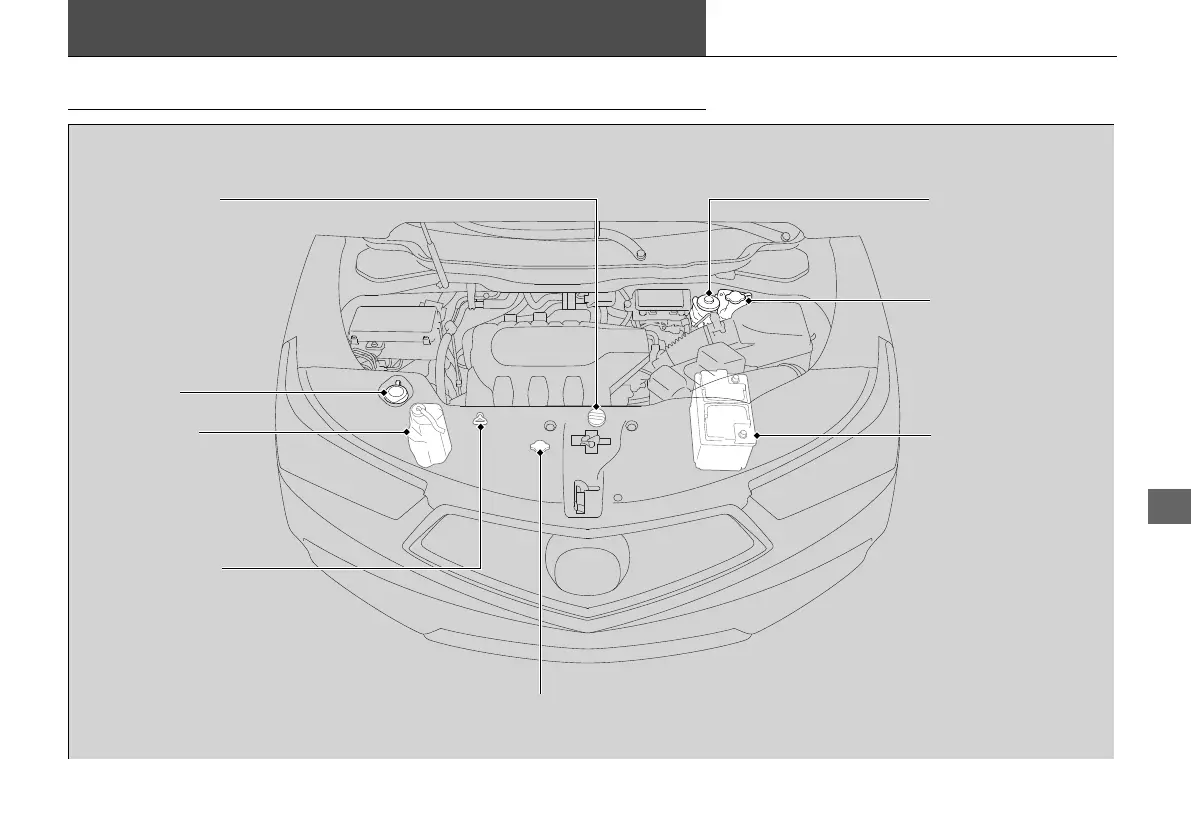 Page #571 background image