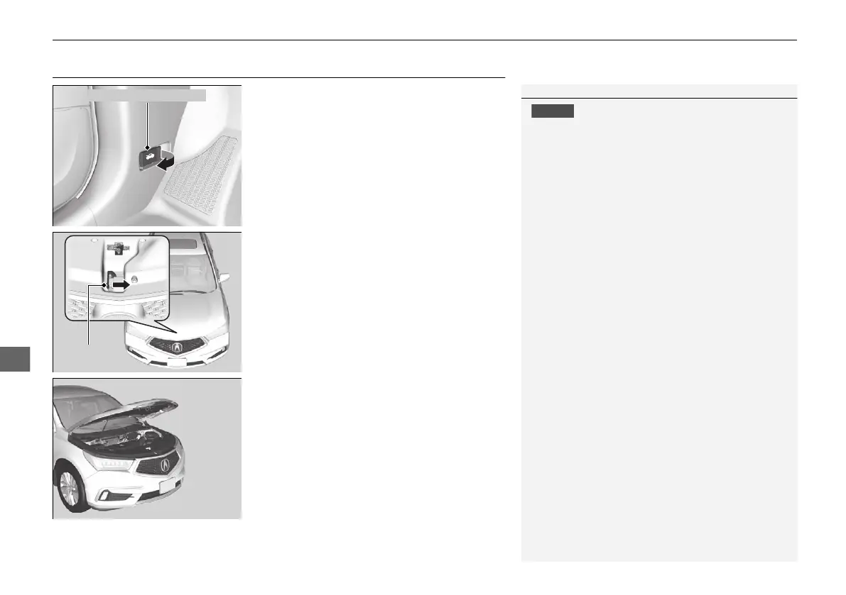 Page #572 background image