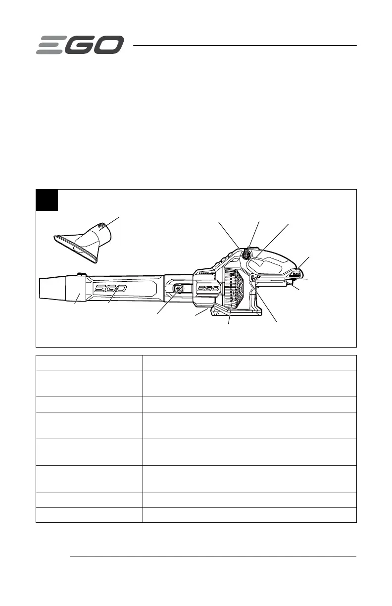 Page #62 background image