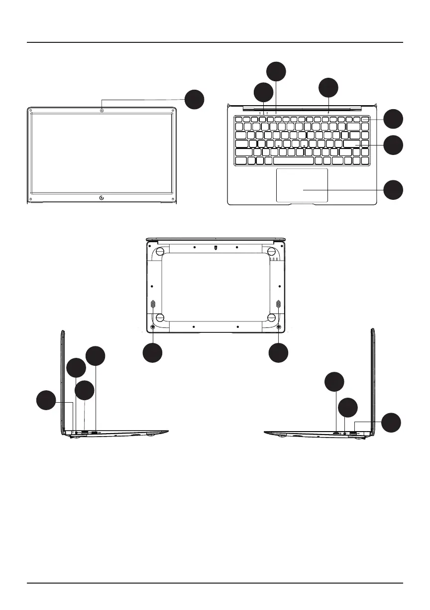 Page #3 background image