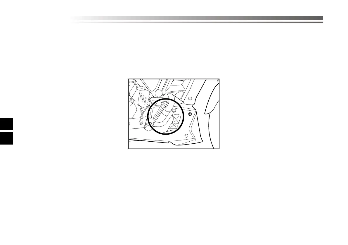 Page #303 background image
