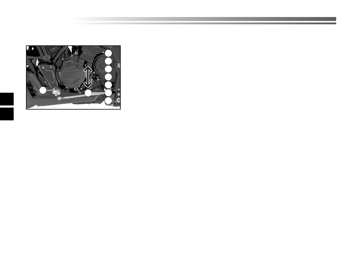 Page #225 background image