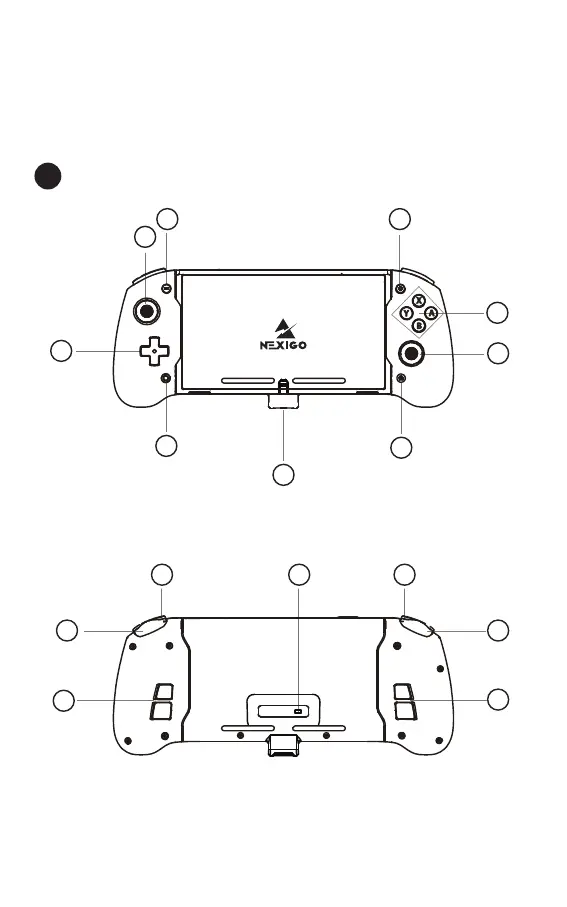 Page #3 background image