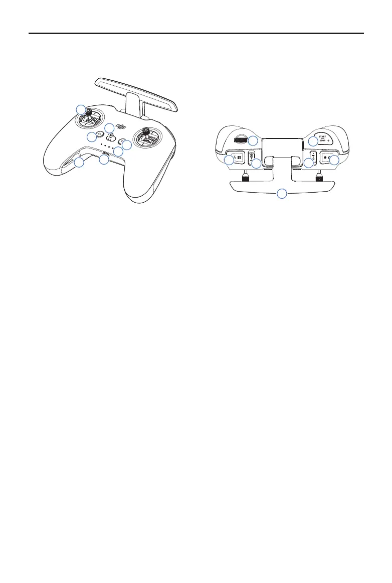 Page #17 background image