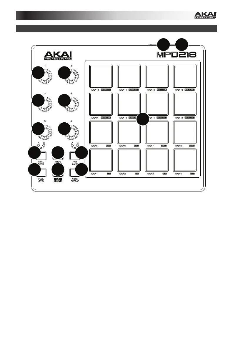Page #8 background image