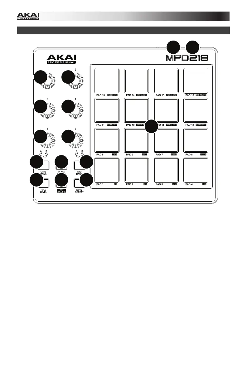 Page #11 background image