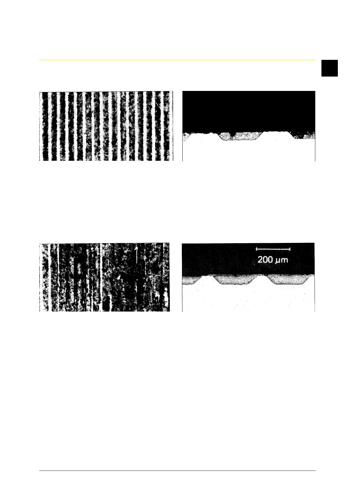 Page #246 background image