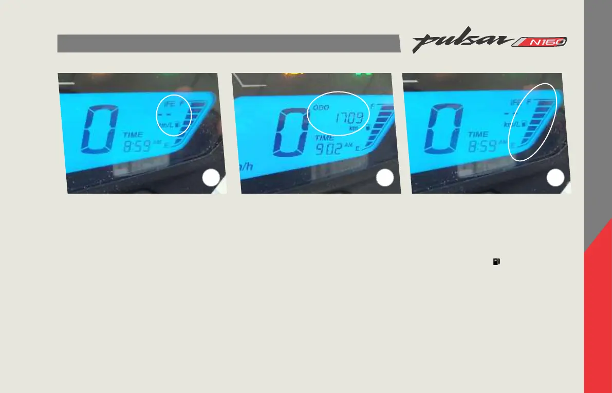 Page #15 background image