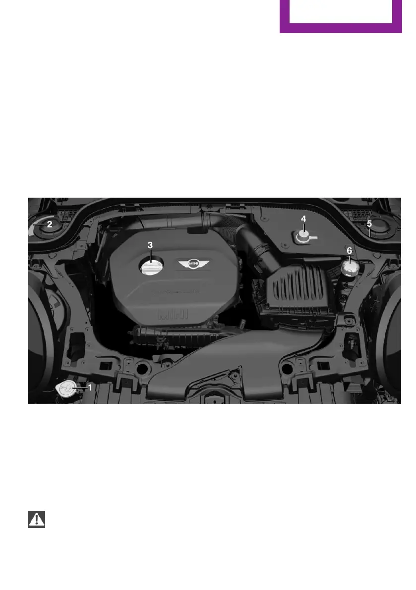 Page #223 background image