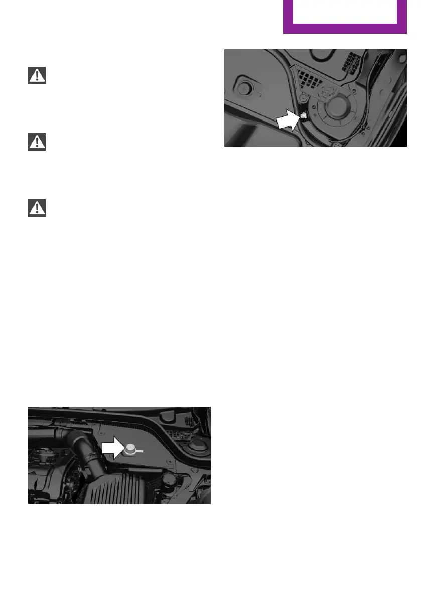 Page #245 background image