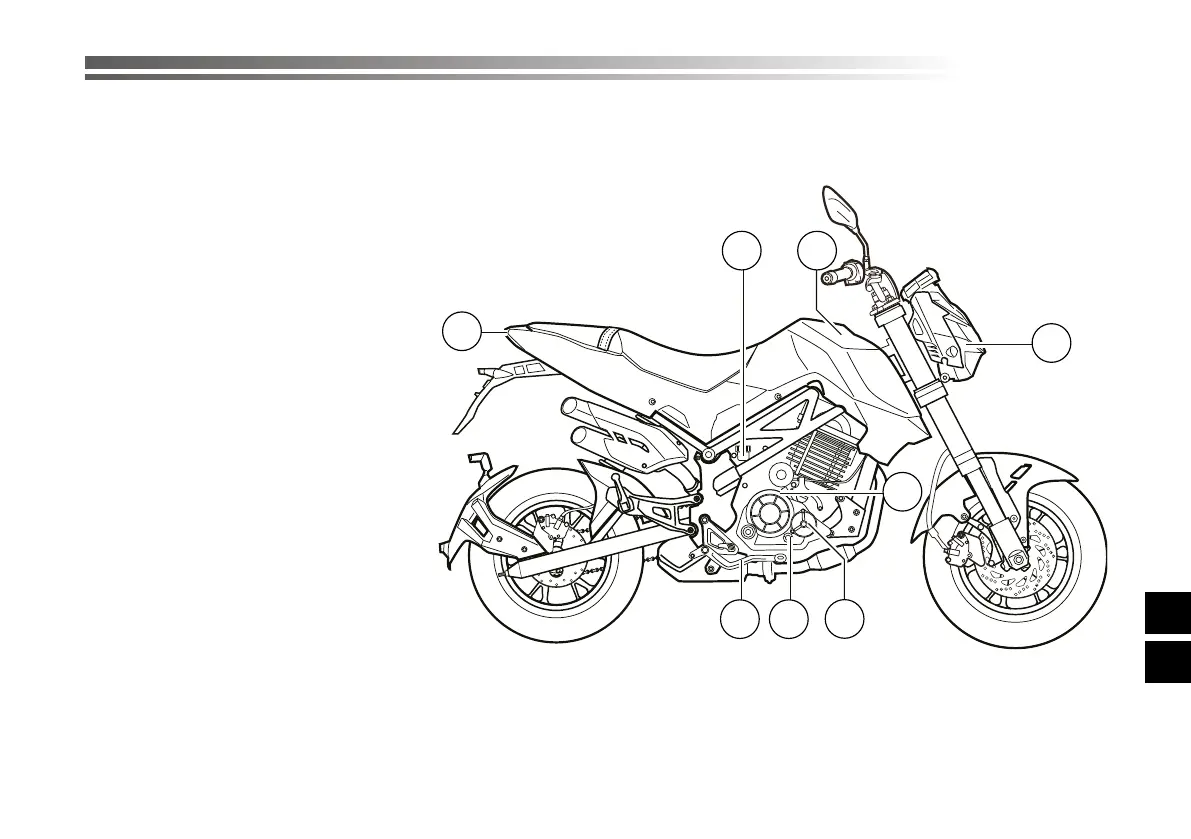Page #455 background image