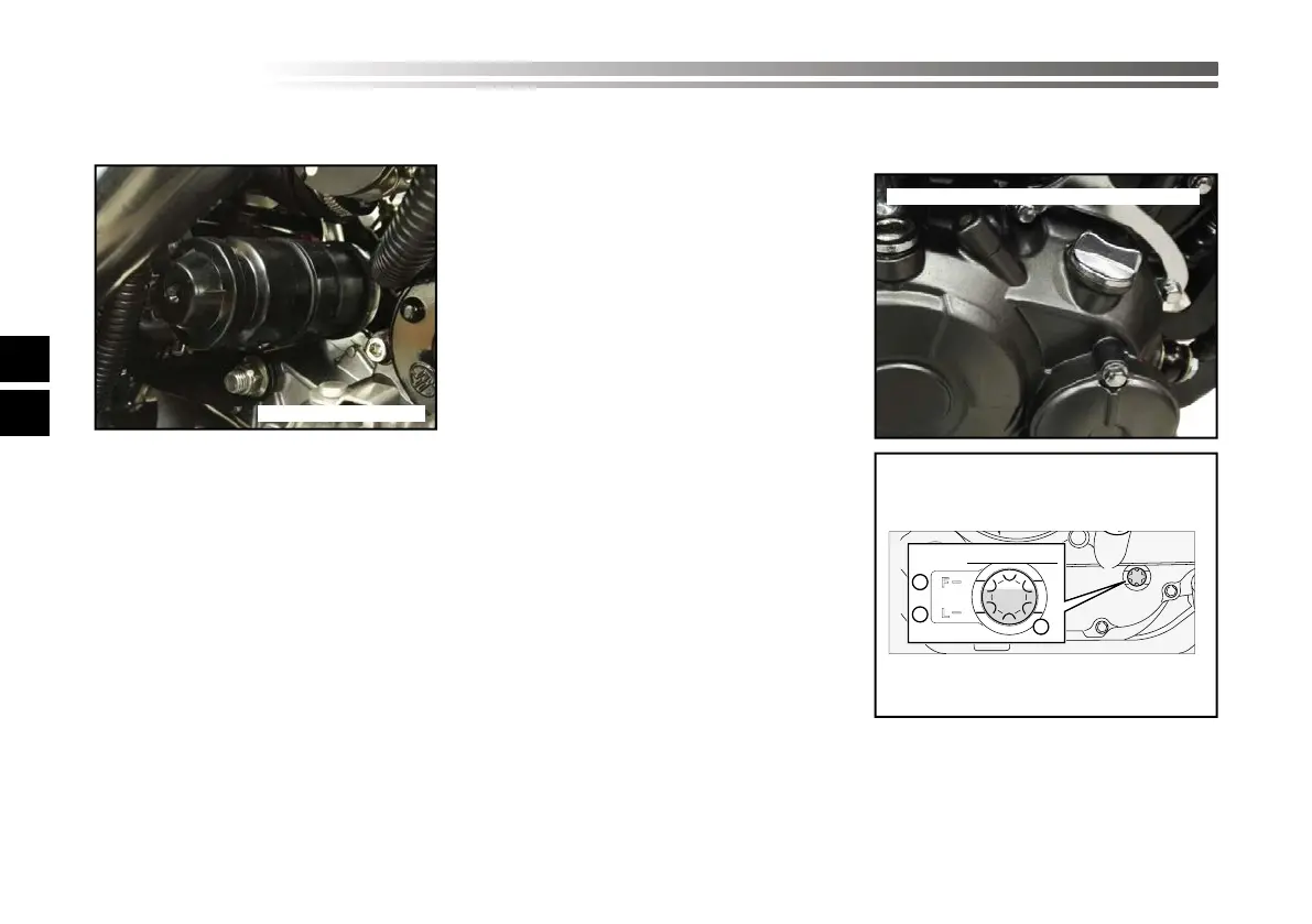 Page #225 background image